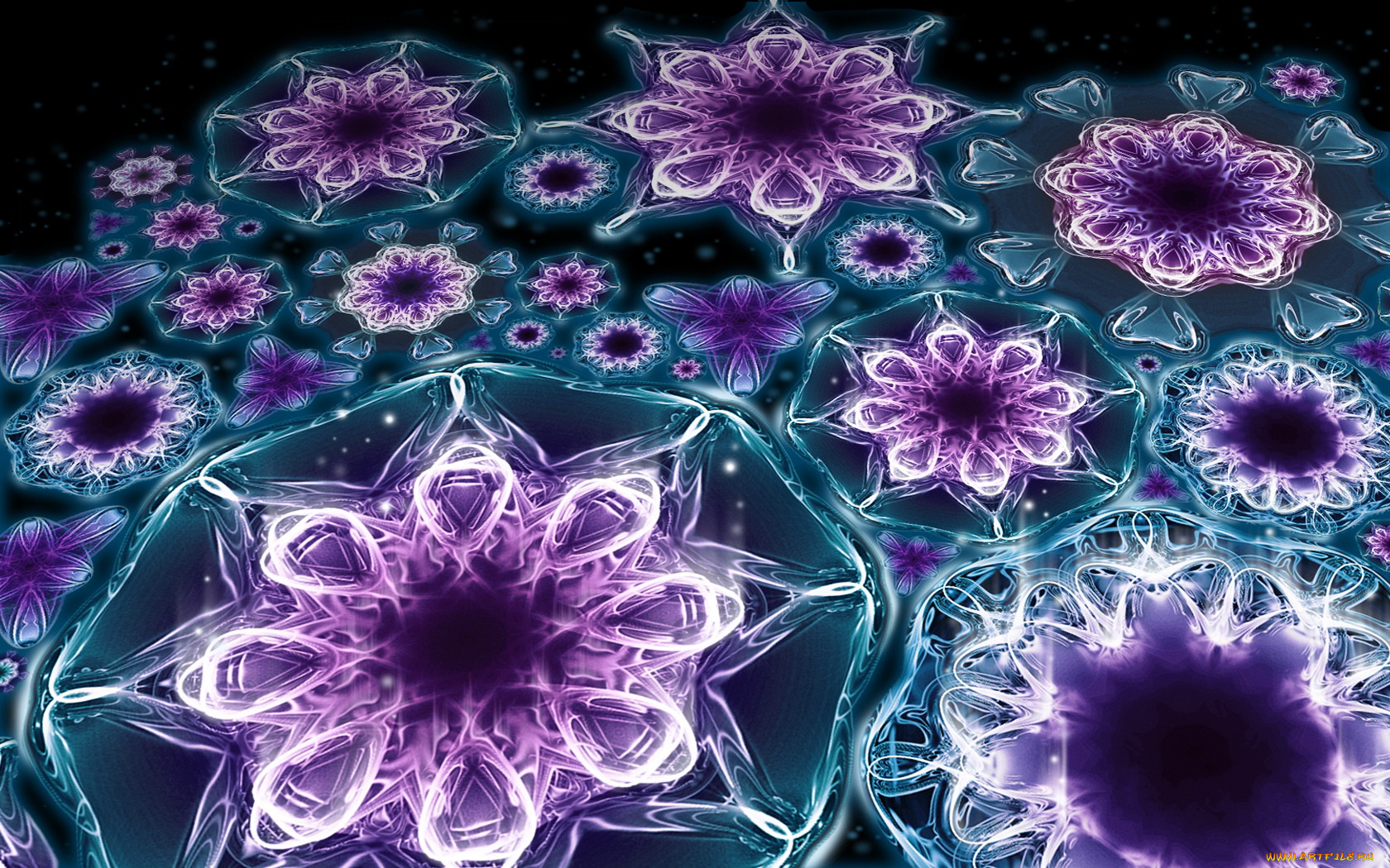 3, , flowers, 